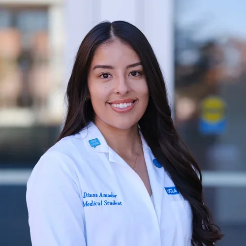 LMSA Mentorship Chair