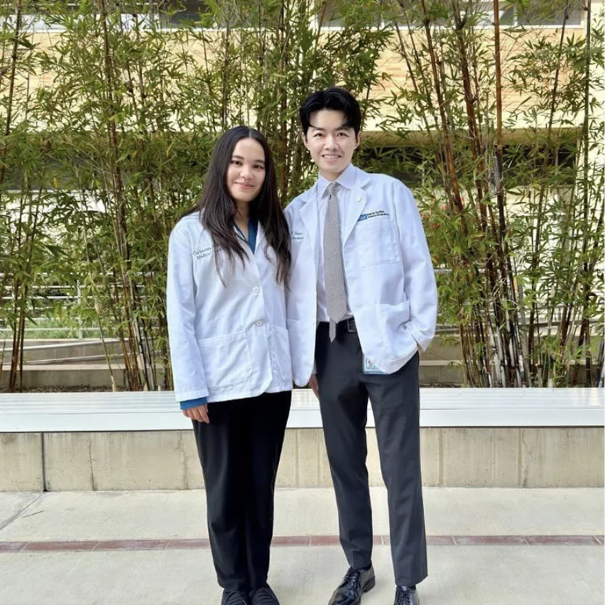 mentorship chairs